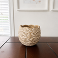 Cache-pot Coquillages – 5 po (pour plantes de 4 po)