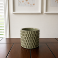 Cylindrical mesh plant pot – 5.5 in (for 4 in and 5 in plants)