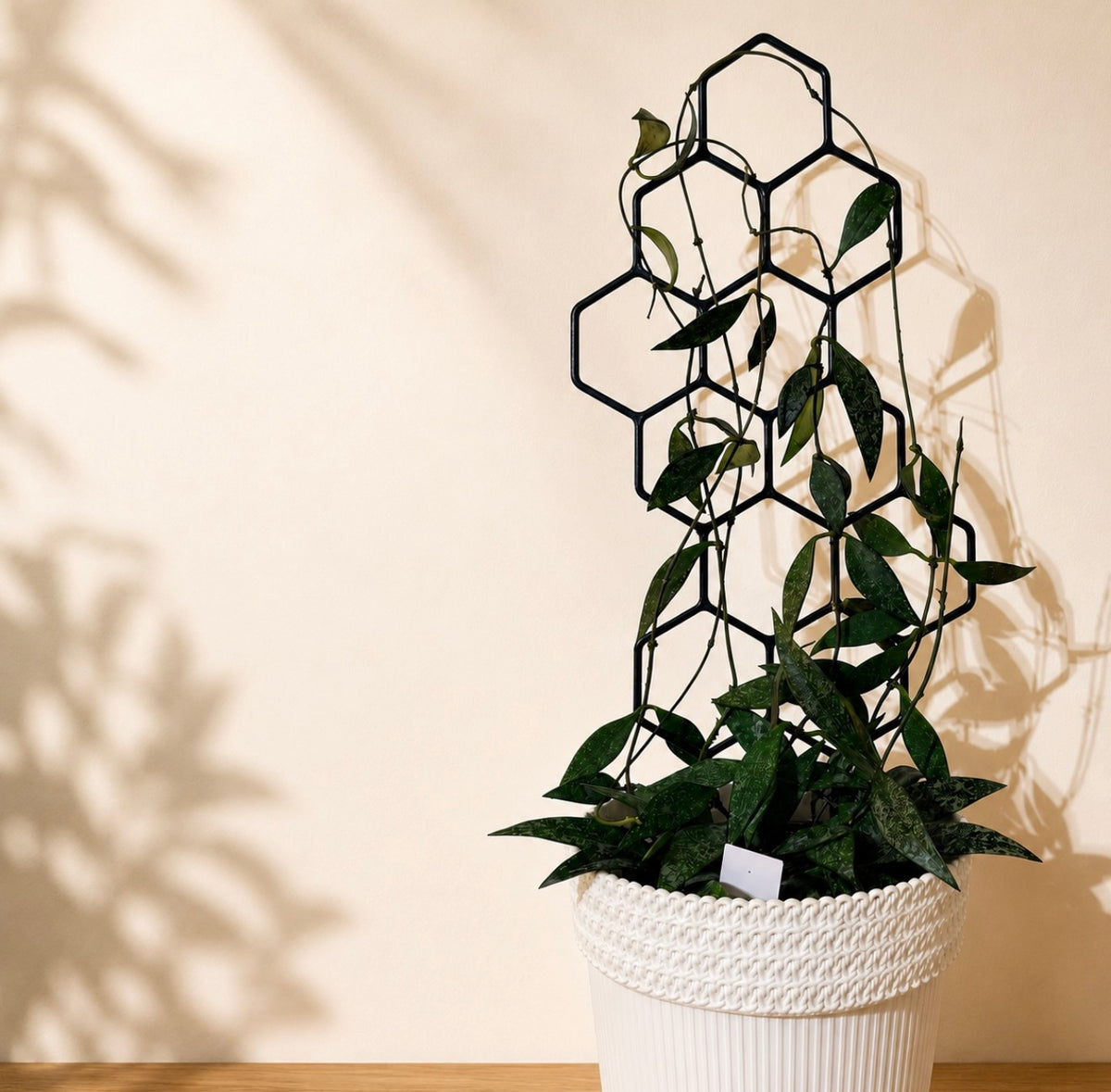 Treillis alvéolé – Lot de 3