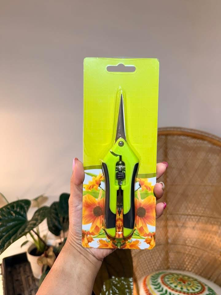 Ciseaux de Précision pour Plantes